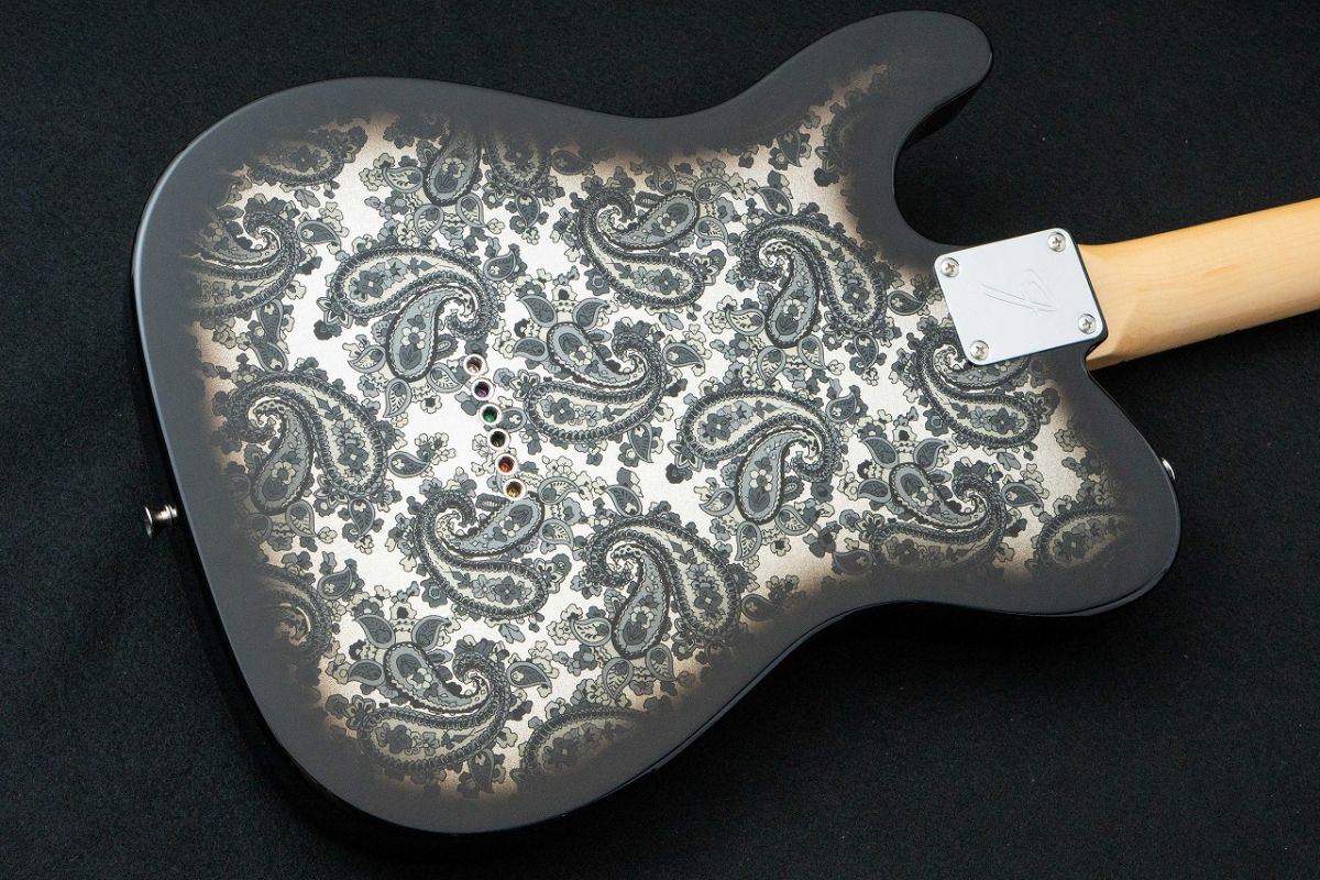 Telecaster  ソフトケース、未開封弦付き Telecaster ソフトケース、未開封弦付き Telecaster ソフト