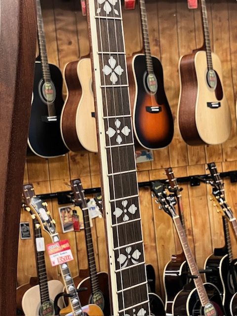 PS-250 Plectrum Special Banjo | 【クロサワ楽器店オンラインショップ