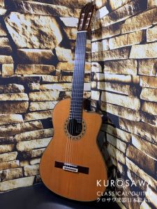 エレガット、日本総本店クラシックギター専門店のクラシック