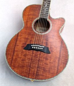 アコースティックギター　takamine Takamine LTD2020 Peace～毎年恒例の限定ギター！～【追記あり1