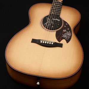 Headway エレアコ　レアカラー　オールホワイト　美品　純正ソフトケース Headway、新品のアコースティックギター検索結果一覧