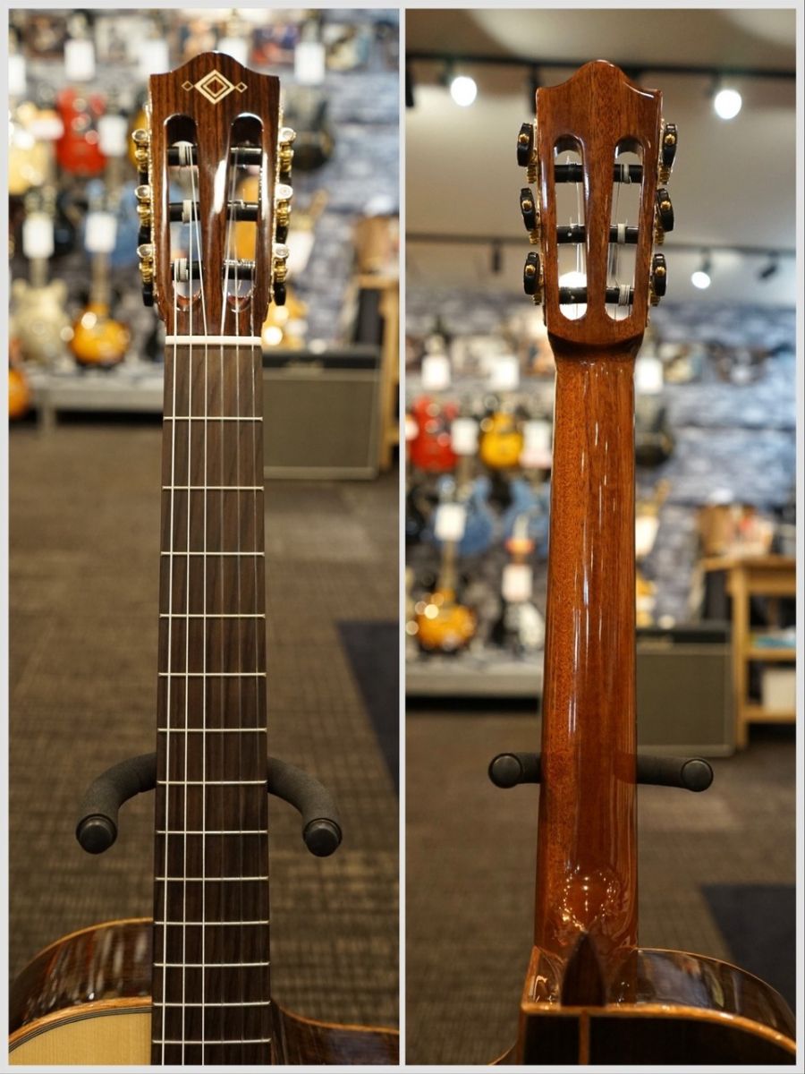 MP-12 Rosewood | 【クロサワ楽器店オンラインショップ】いい楽器との