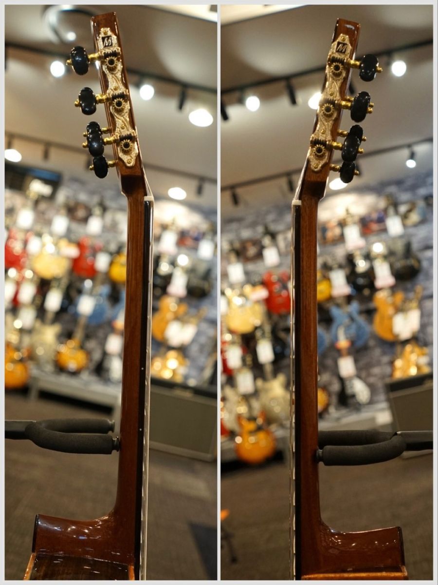 MP-12 Rosewood | 【クロサワ楽器店オンラインショップ】いい楽器との