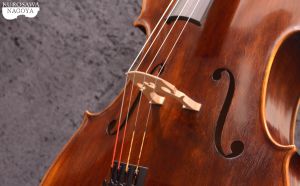Rudolph Fiedler Rudolph Fiedler 【チェロ】【名古屋店】