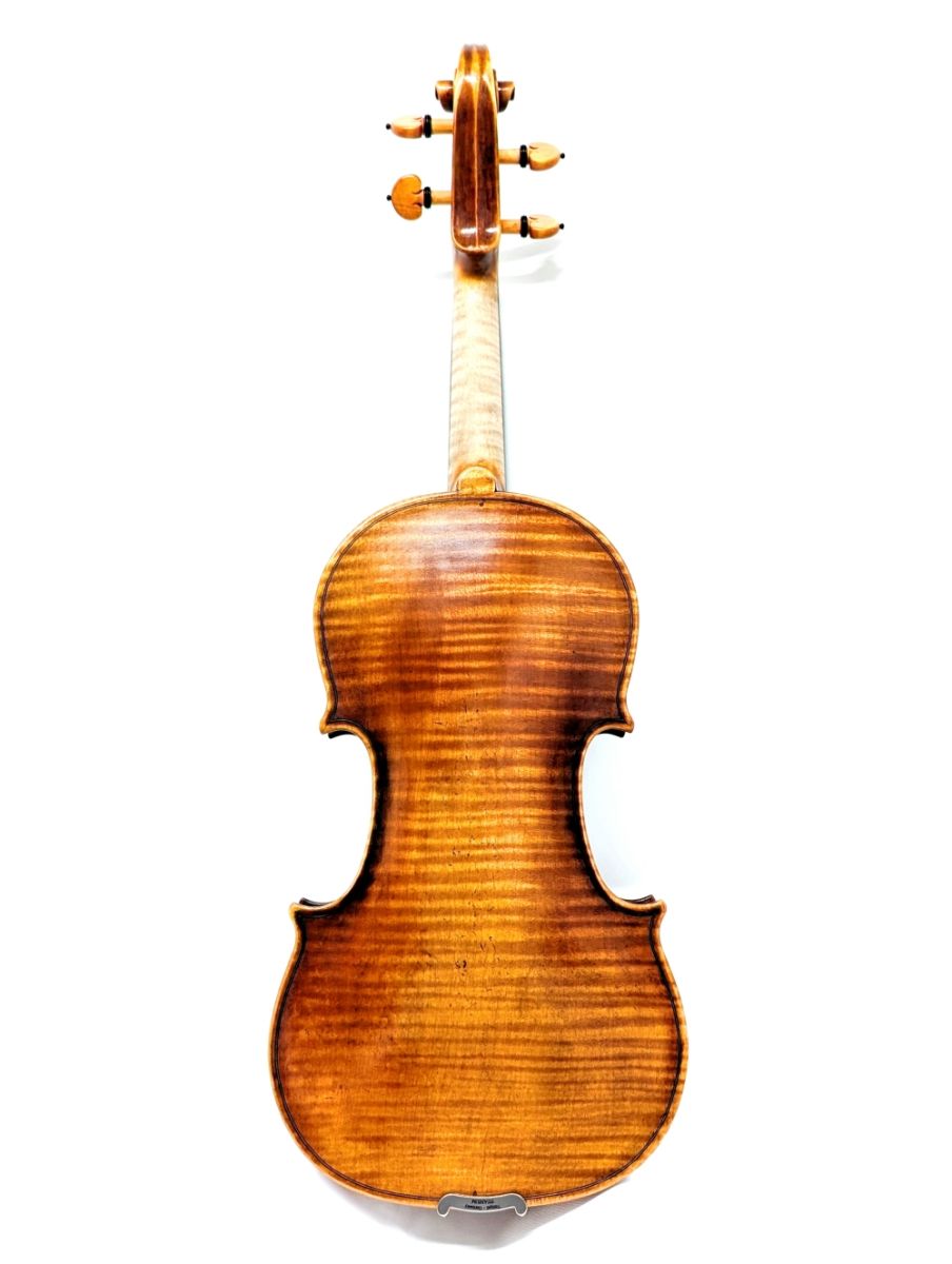 PA805J Maestro (ローデリヒ・ペゾルト) | 【クロサワ楽器店