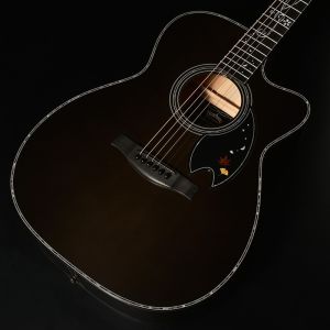 Headway、ハードケースのアコースティックギター検索結果一覧