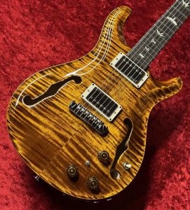 Paul Reed Smith(PRS)、ハードケースのエレキギター検索結果一覧