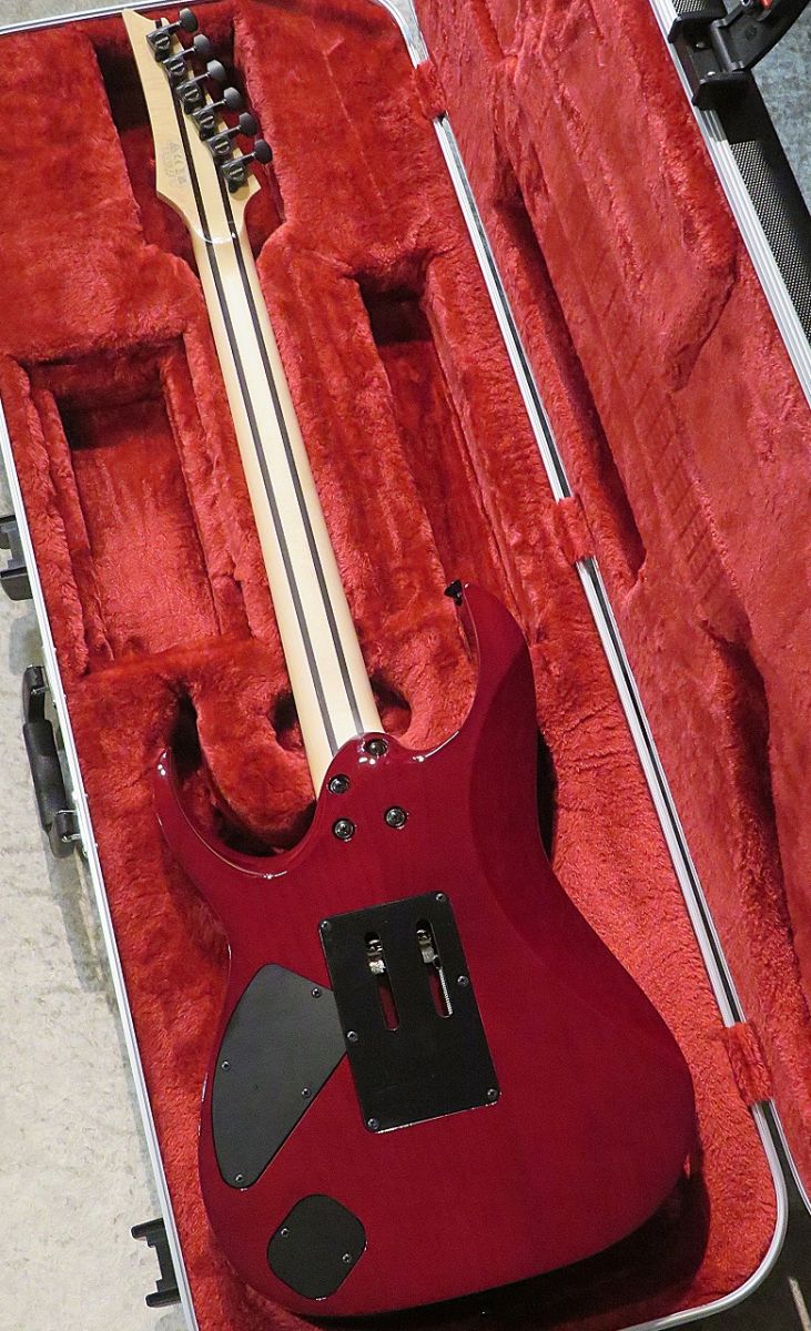 貴重 THIS IS DETERMINATIONS アナログ RECORD LABEL シチズンコレクション レコードレーベル メタリック