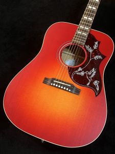 アコースティックギター スプルース/ローズウッド スプルース、ローズウッド指板のアコースティックギター検索結果