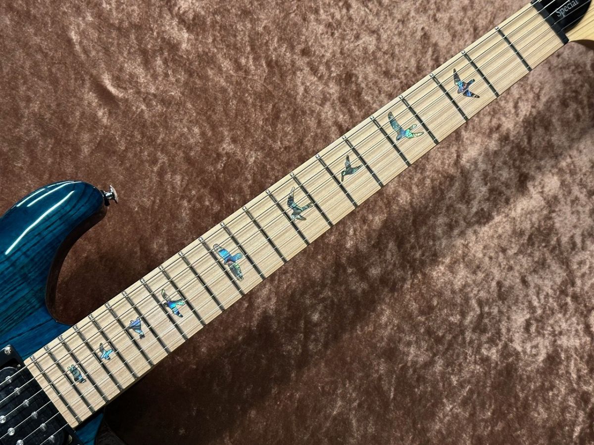 暁天さん専用ぺージ　クレスト、ナスキー SE SWAMP ASH SPECIAL IB | 【クロサワ楽器店オンラインショップ】いい