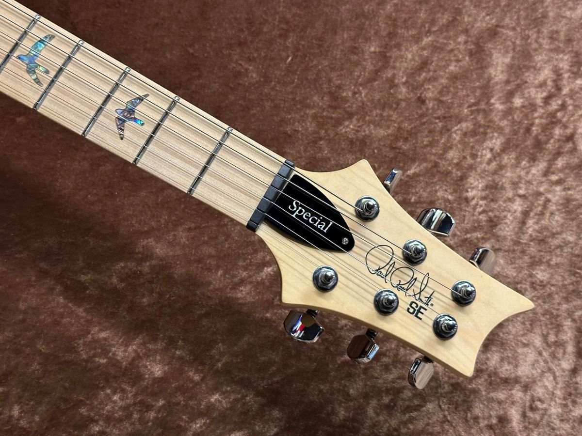 SE SWAMP ASH SPECIAL IB | 【クロサワ楽器店オンラインショップ】いい