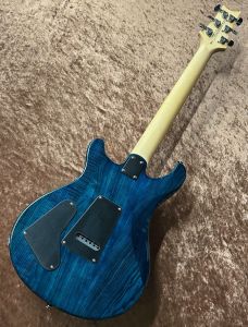 SE SWAMP ASH SPECIAL IB | 【クロサワ楽器店オンラインショップ】いい