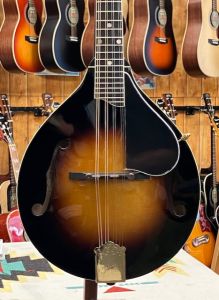 フラットマンドリン THE KASUGA フラットマンドリン ケース付 F-6 その他楽器