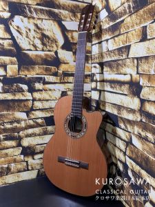Orpheus Valley Guitars オルフェウス・ヴァレー・ギターズ Model:Verea 【日本総本店2F 在庫品】