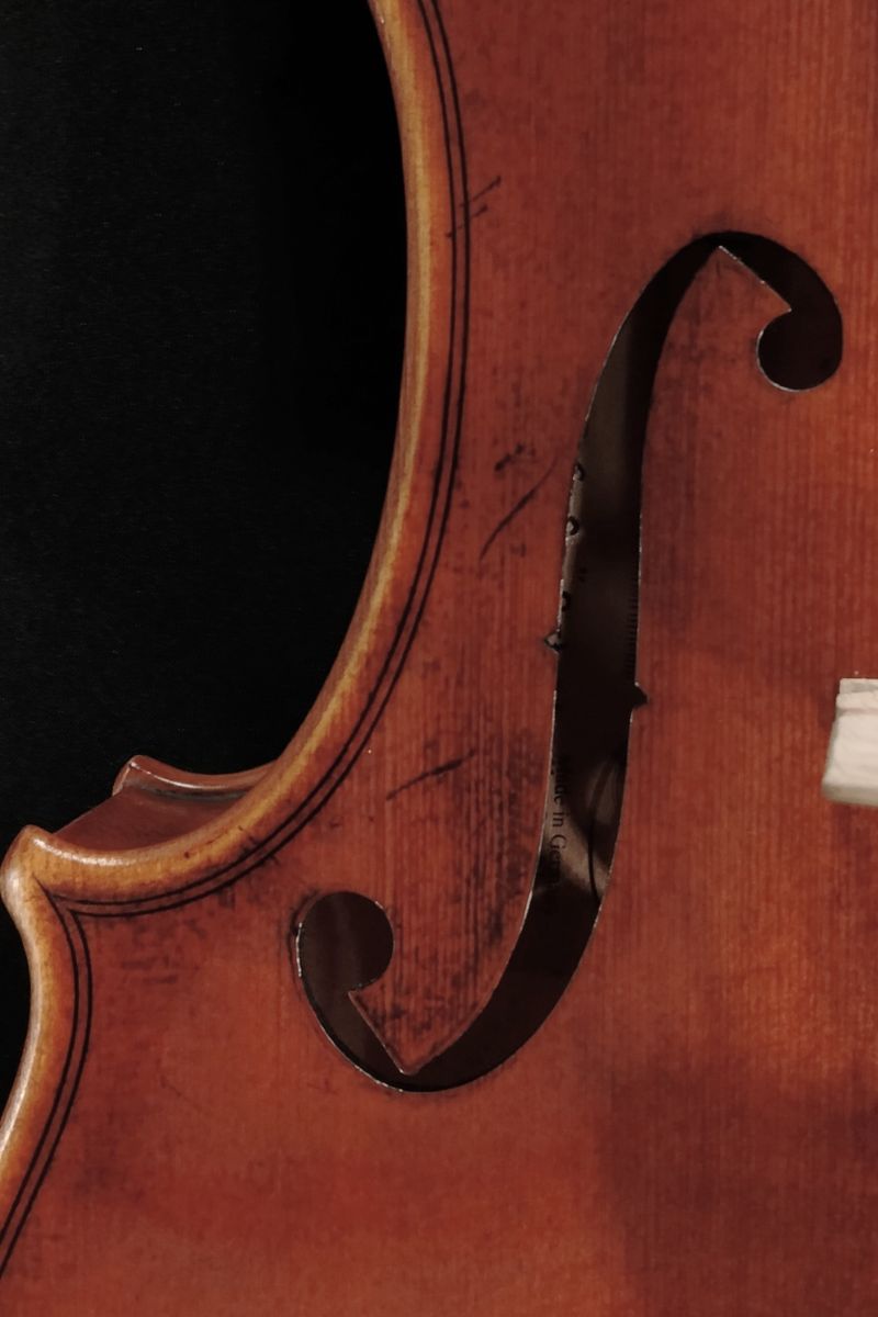 PA803J Artista ‟Guarneri Style