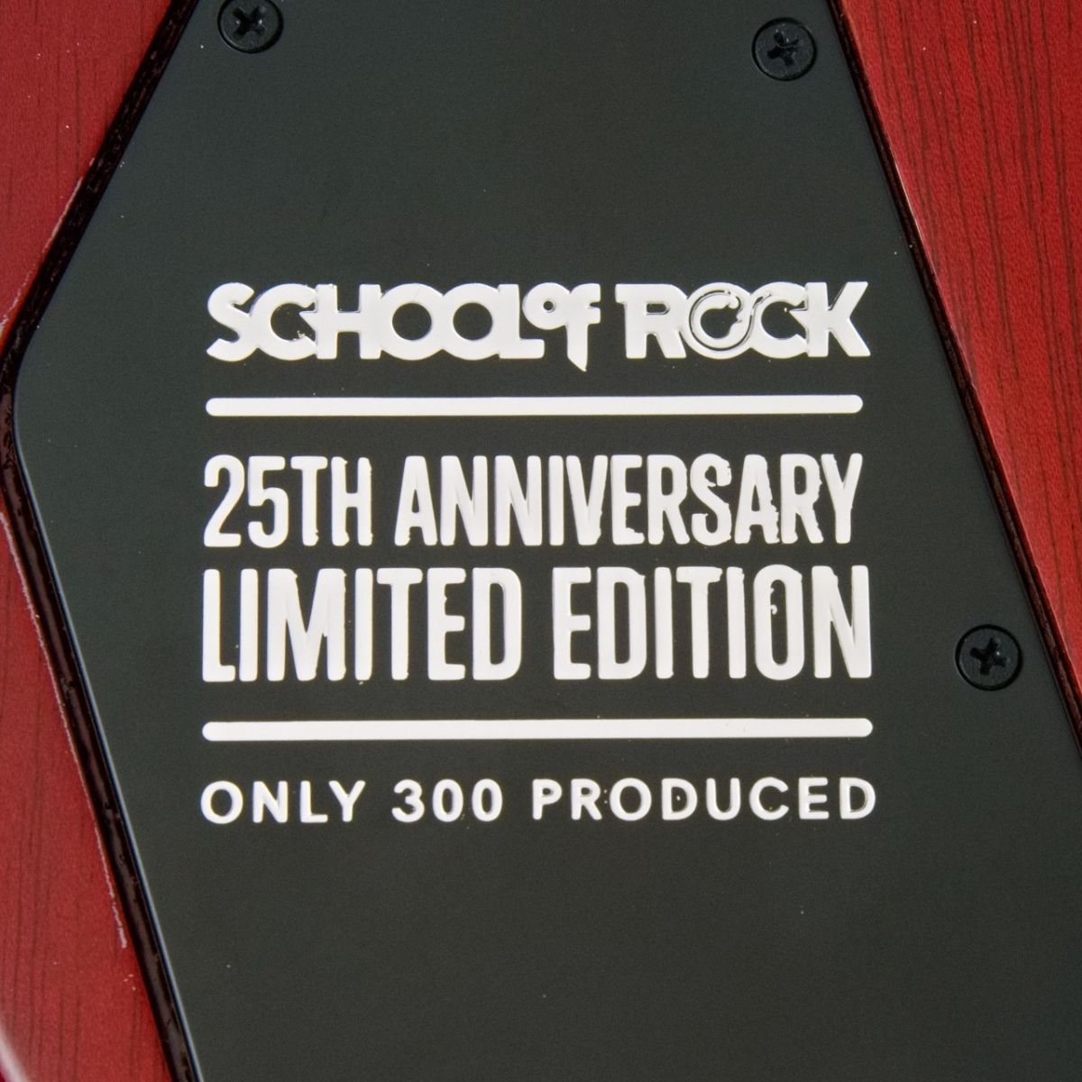 SG Standard School Of Rock 25th Annivasary Edition【2.76kg