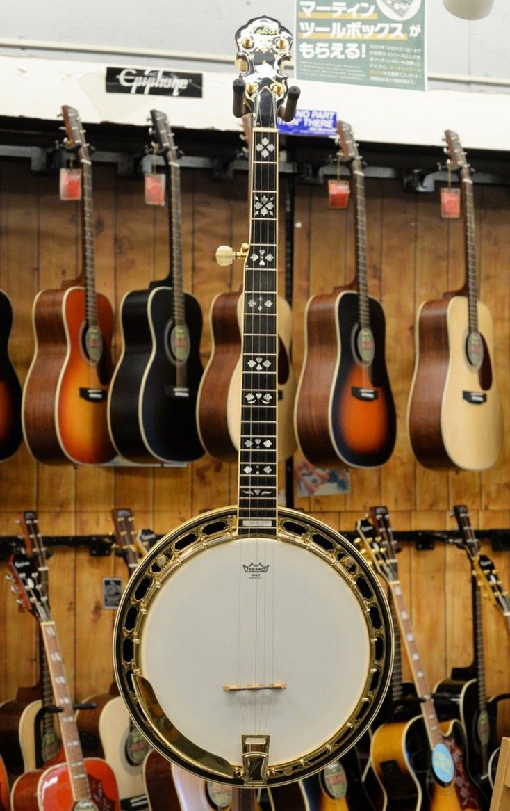 Hummingbird T-1500R | 【クロサワ楽器店オンラインショップ】いい楽器