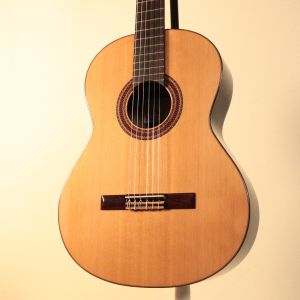 Paco Castillo 【NEW】 203C 【杉単板】