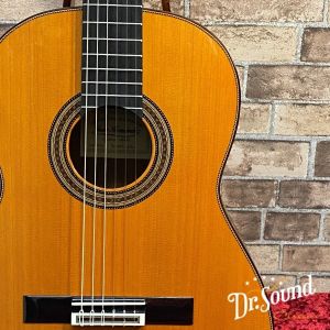 Juan Hernandez ホアン・エルナンデス Model:Sonata 杉/63