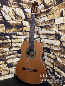 Paco Castillo パコ・カスティージョ 201C 杉・サペリ