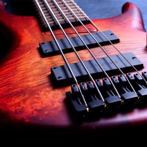 赤 系、アクティブのベース検索結果一覧 | 【クロサワ楽器店