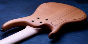 バルトリーニ　mtdのPU 6弦用 バルトリーニ mtdのPU 6弦用 バルトリーニ mtdのPU 6弦用 MTD