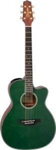 Takamine、コアのアコースティックギター検索結果一覧