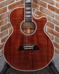 Takamine、20万円～30万円未満のアコースティックギター検索結果