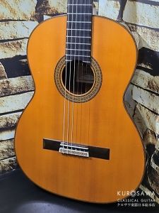 笠　桜井正毅　2010年　ギター 桜井 正毅 P.C. Maple (2010) - Trippers' Guitars