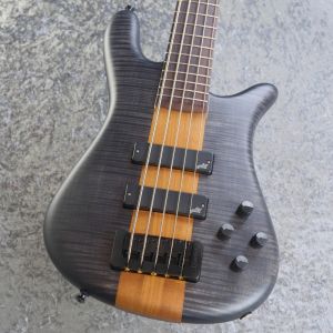 【美品】Spector 5弦ベース、希少メイプルネック・ケース付き・送料無料 美品】Spector 5弦ベース、希少メイプルネック・ケース付き