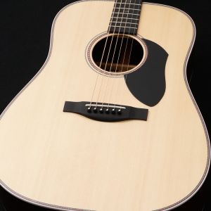 Headway、ドレッドノート タイプのアコースティックギター検索