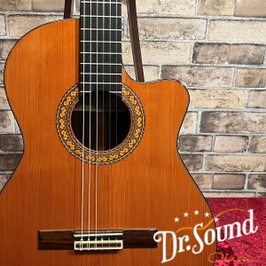 エレガットギター 楽天市場】【Godin】【10th Anniversary】ゴダン『エレガット