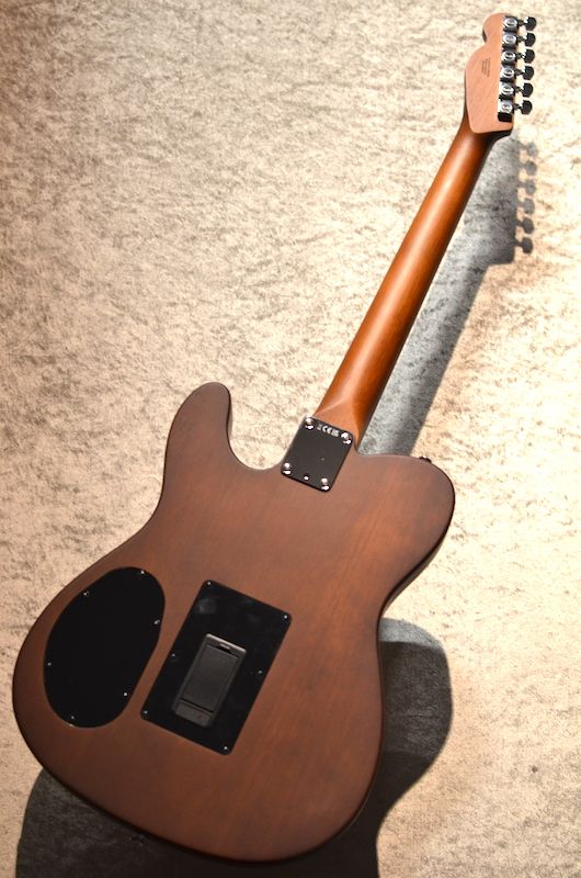 Acoustasonic Standard Telecaster ～Honey Burst