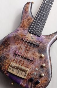 Sugi 【48回無金利】 NB5E 432 A POP/ASH/Nubula 【激杢/現地選定材/写真追加】