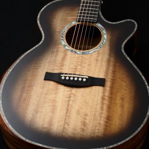 ギター  元値８万円 61yKtX8CPXL.jpg_BO30,255,255,