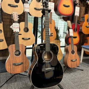 stafford SF-4F BK | 【クロサワ楽器店オンラインショップ】いい楽器と