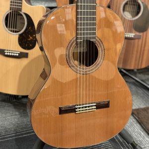 Paco Castillo 【NEW】 203C 【杉単板】