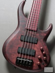 アルダー、5弦のベース検索結果一覧 | 【クロサワ楽器店オンライン