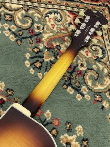 Fujigen FGN フジゲン　MFA-FP/JN/14 MFA-FP/JN : Masterfield MFA - フルアコ |MFA-FP/JN : Masterfield