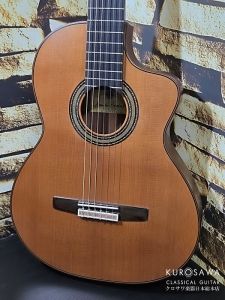 エレガットギター LAG Guitars CHV15E NYLON Hyvibe Series アウトレット