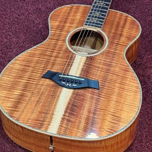 Taylor、池袋店アコースティック館のアコースティックギター検索