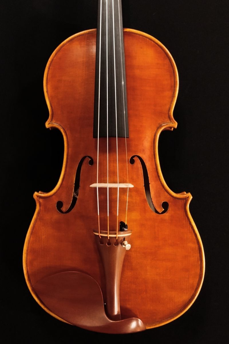 Andrea Solzi 2025 Cremona | 【クロサワ楽器店オンラインショップ