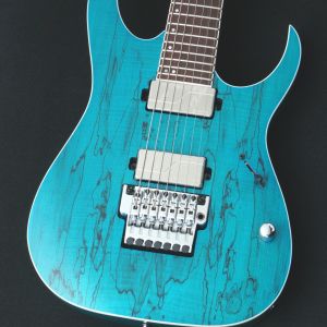 FERNANDES エレキギター 青 24フレット ハードケース付き FERNANDES エレキギター 青 24フレット ハードケース付き