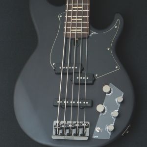 黒 系、ローズウッド指板のベース検索結果一覧 | 【クロサワ楽器