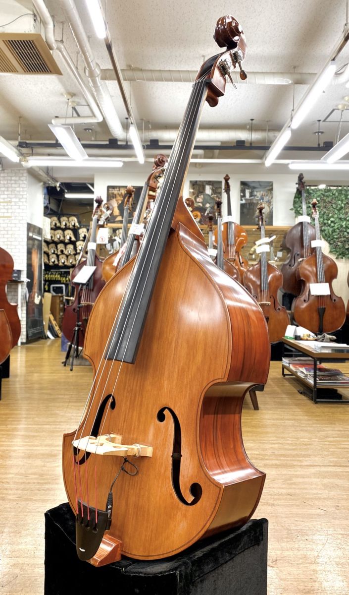 David Gage Czech Ease コントラバス