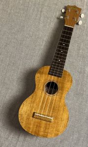 Famous FS-5G 【48回無金利】【70年続く老舗メーカー】