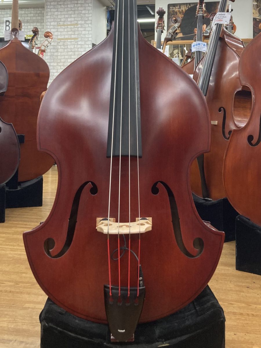 David Gage Czech Ease コントラバス