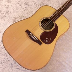 Headway、ドレッドノート タイプのアコースティックギター検索結果一覧