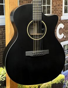 Martin & Co. アコースティックギター マットブラック Martin & Co. アコースティックギター マットブラック