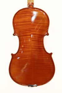 Ayasaさん選定個体＞Gliga GamaI | 【クロサワ楽器店オンライン